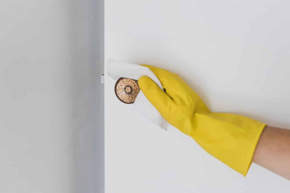 A gloved hand wiping off a doorknob as part of the CDC recommendations for disinfection during the coronavirus outbreak